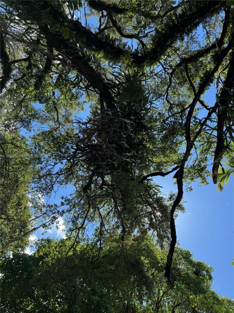 16330 NE 5th Ave , Miami, FL 33162 Photo