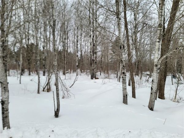 6828N Zett Road, Winter, WI 54896