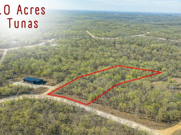 4 Pecan Trail, Tunas, MO 65764