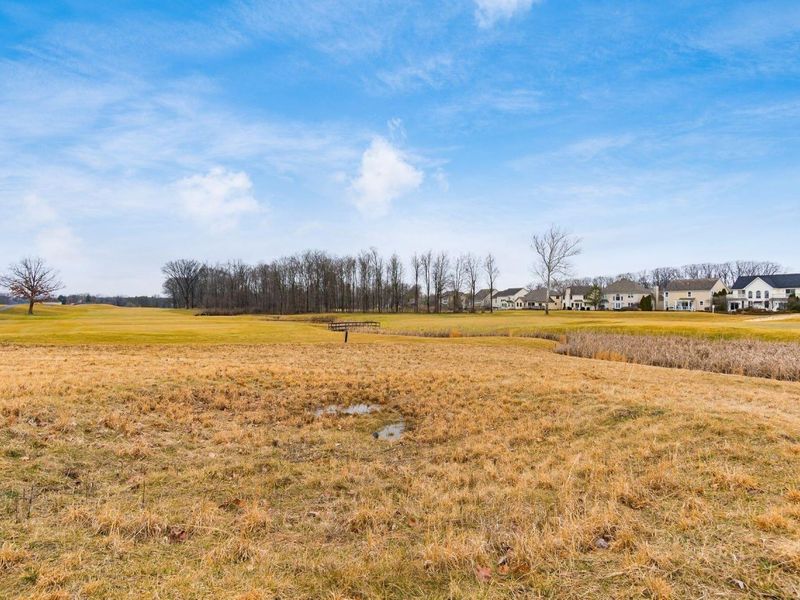 2790 Royal Dornoch Circle, Delaware, OH 43015 Photo 49