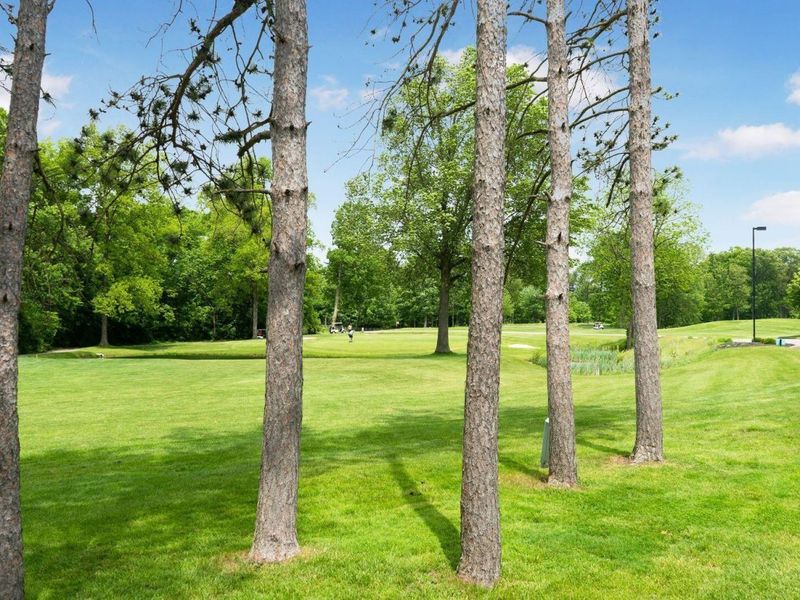 2790 Royal Dornoch Circle, Delaware, OH 43015 Photo 64