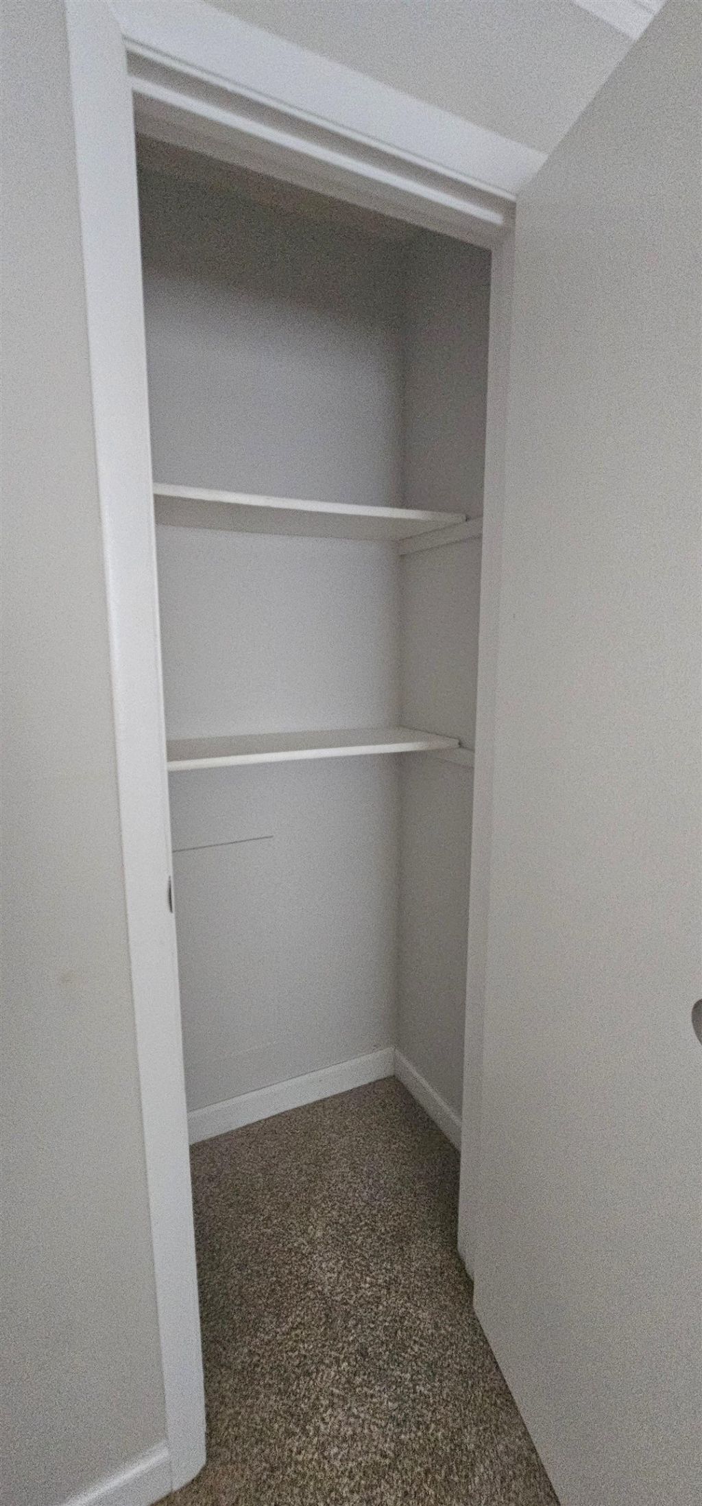 615 Carter Ln. Photo 10