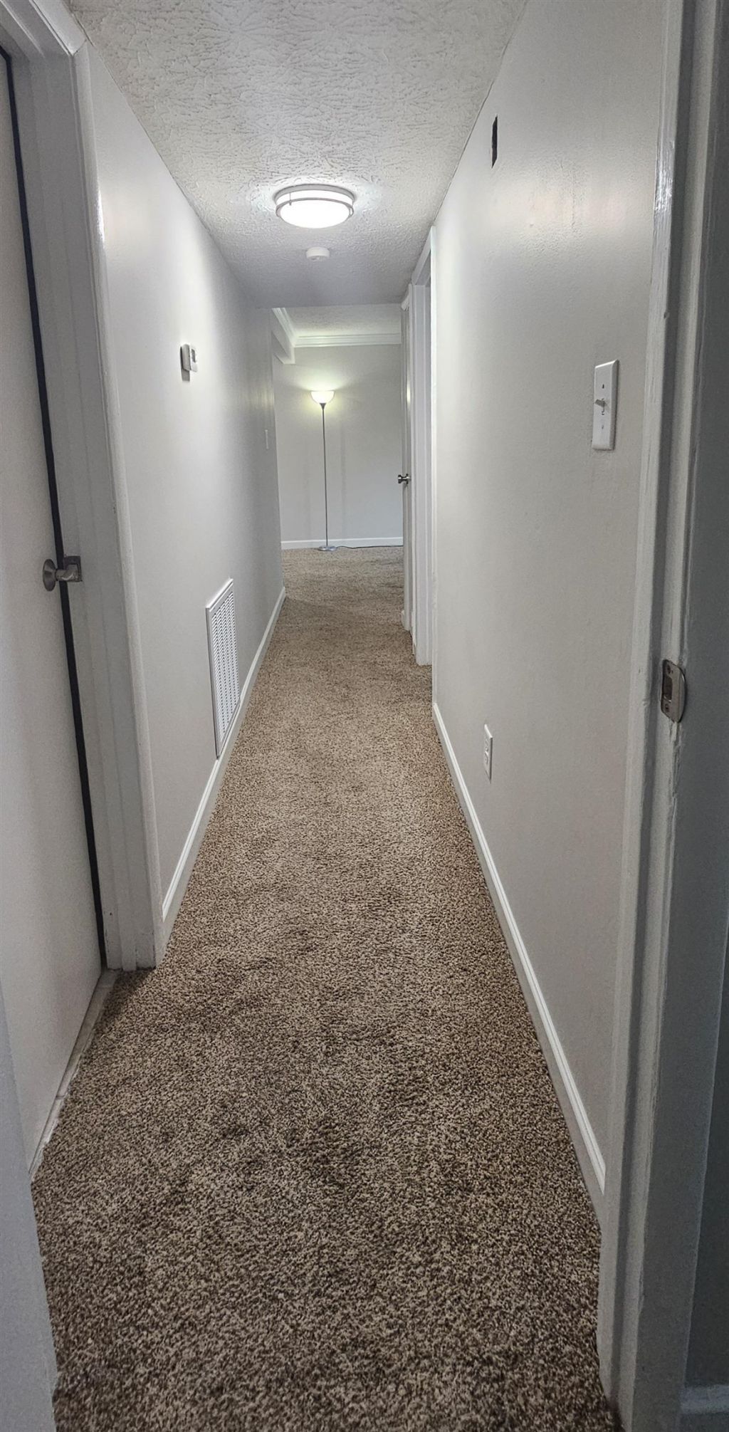 615 Carter Ln. Photo 11