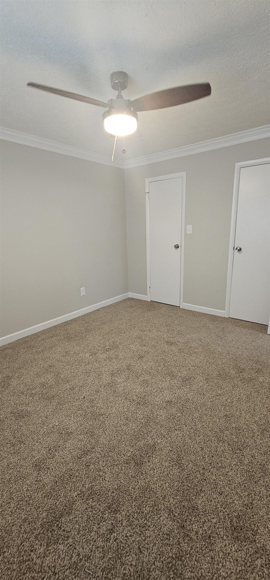 615 Carter Ln. Photo 13