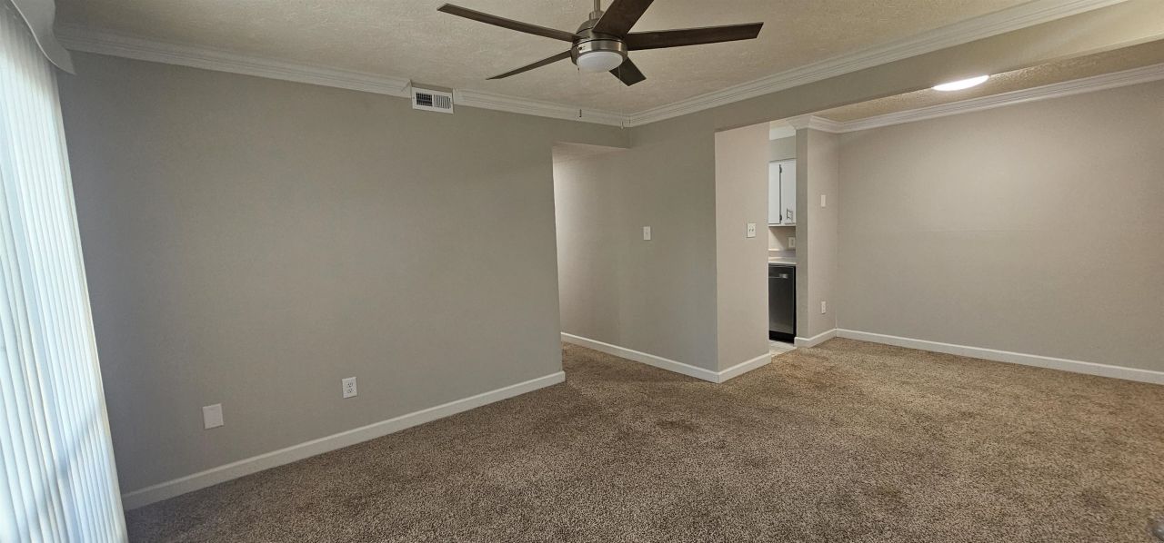 615 Carter Ln. Photo 8