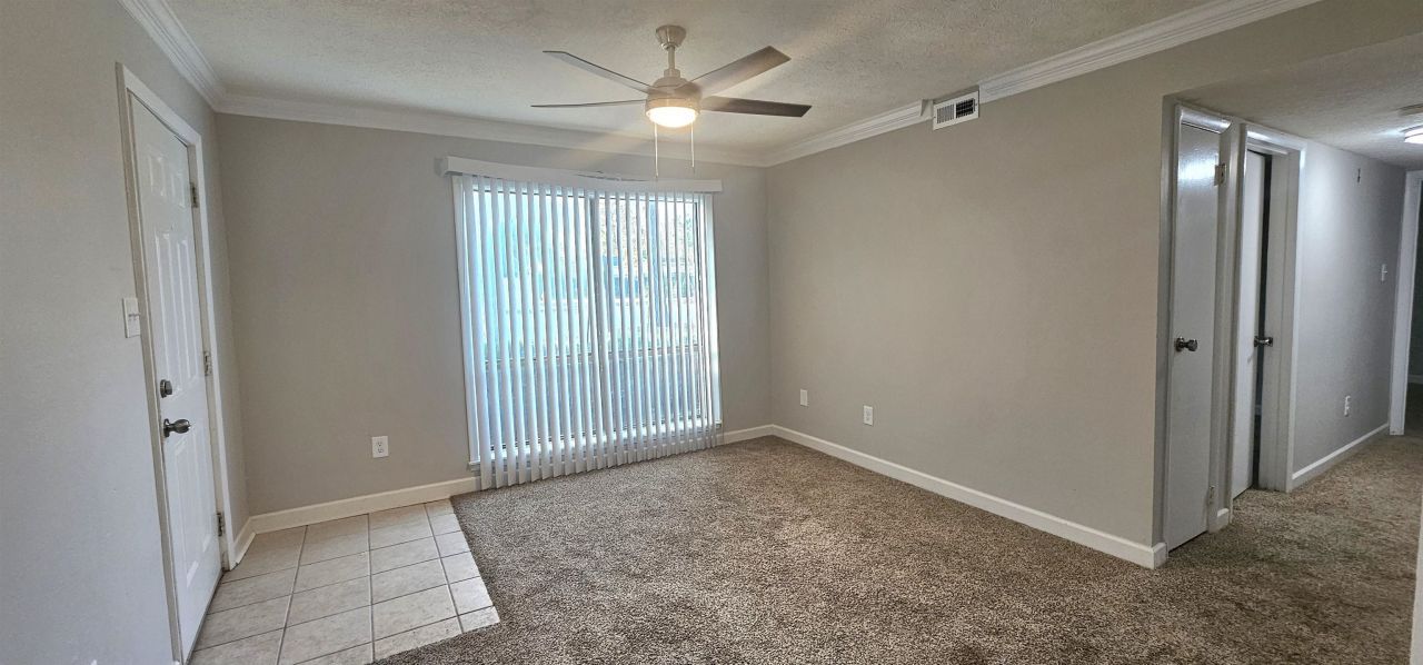 615 Carter Ln. Photo 9