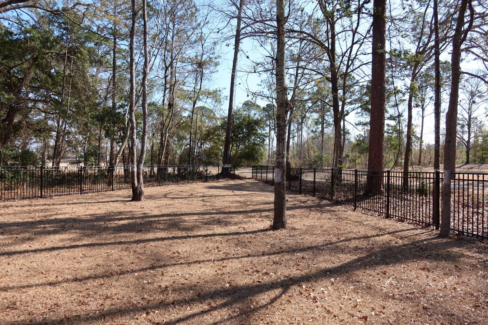 131 Green Court Photo 30