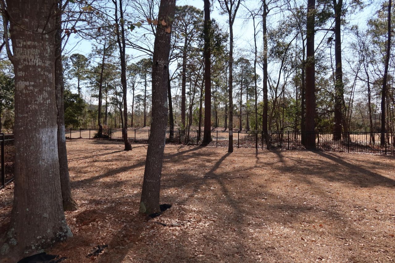 131 Green Court Photo 32