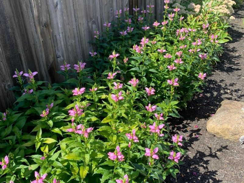 531 Richards Road, Columbus, OH 43214 Photo 41