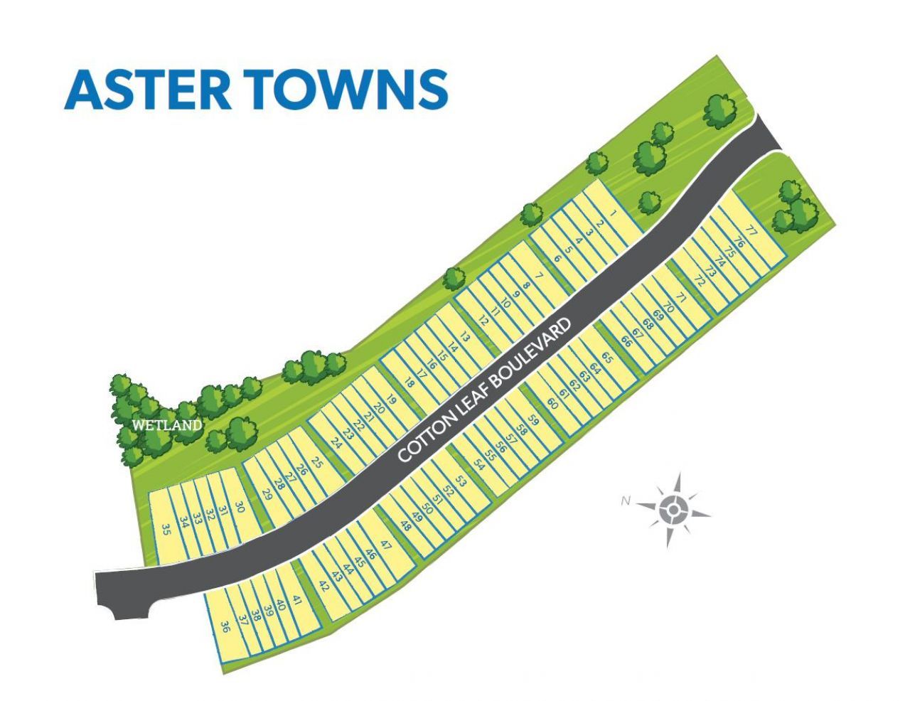 167 Cotton Leaf Boulevard Photo 13