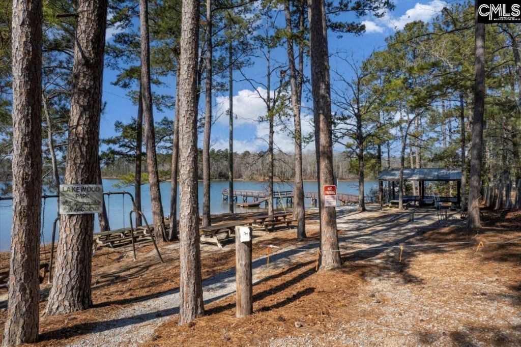 195 Lexington Lane Photo 44