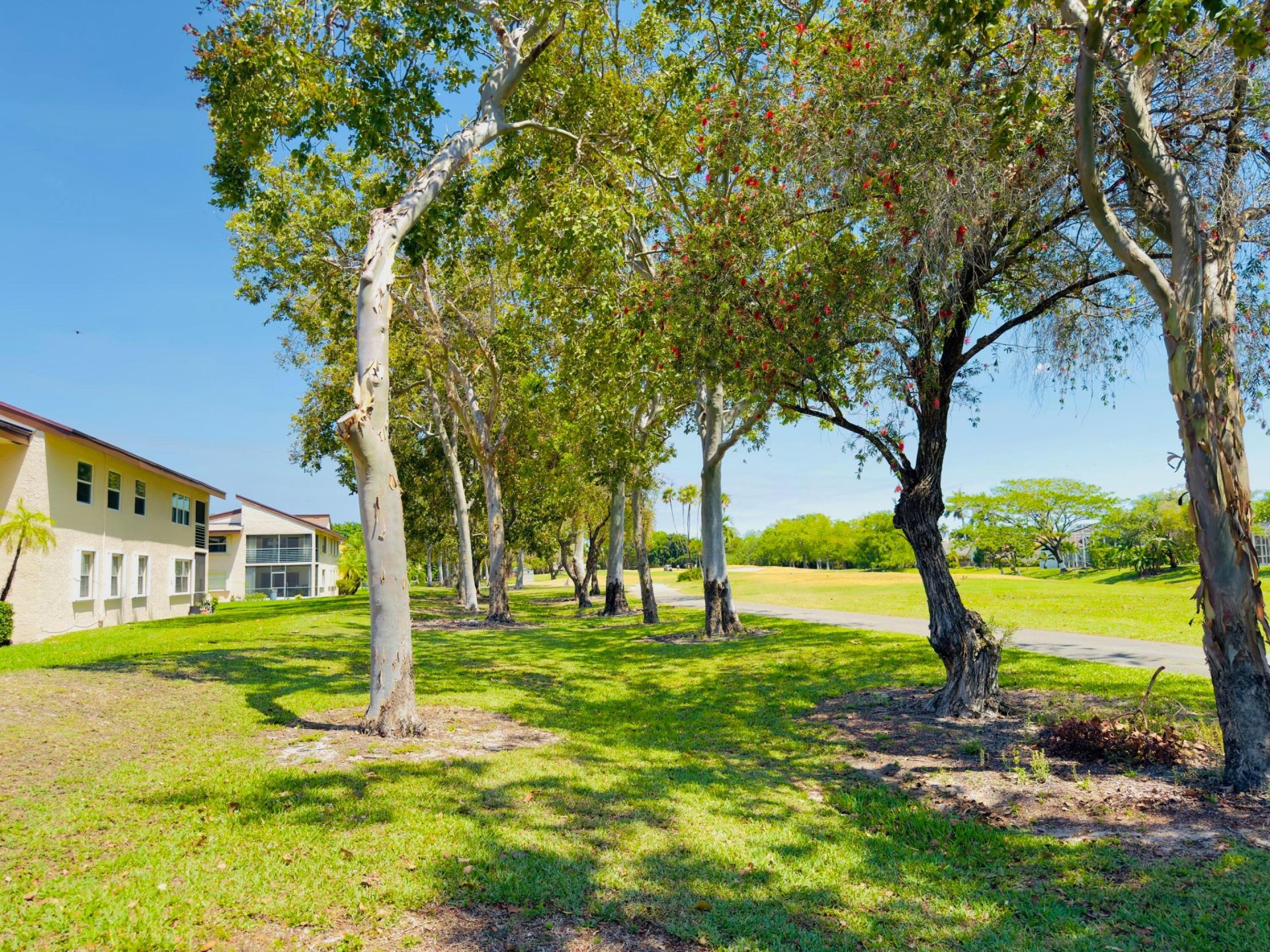 8765 Azalea Court, Unit 204, Tamarac, FL 33321 Photo