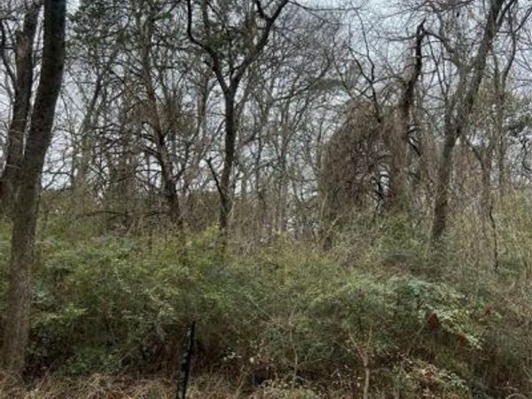 1207 Rita Lane, Duncanville, TX 75116