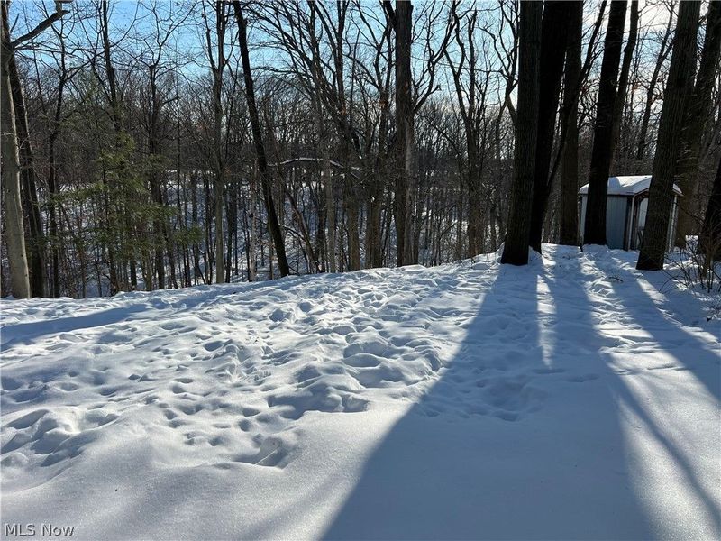 851 Wellmon Street, Bedford, OH 44146 Photo 3