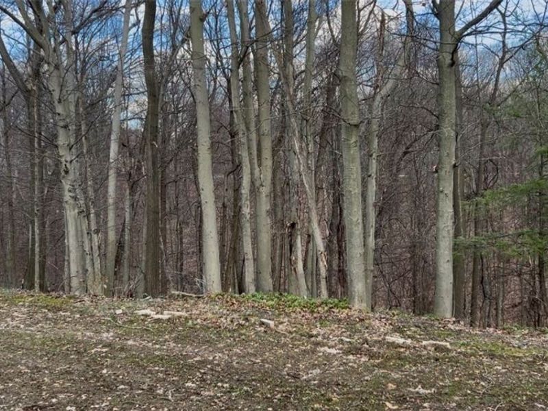 851 Wellmon Street, Bedford, OH 44146 Photo 42