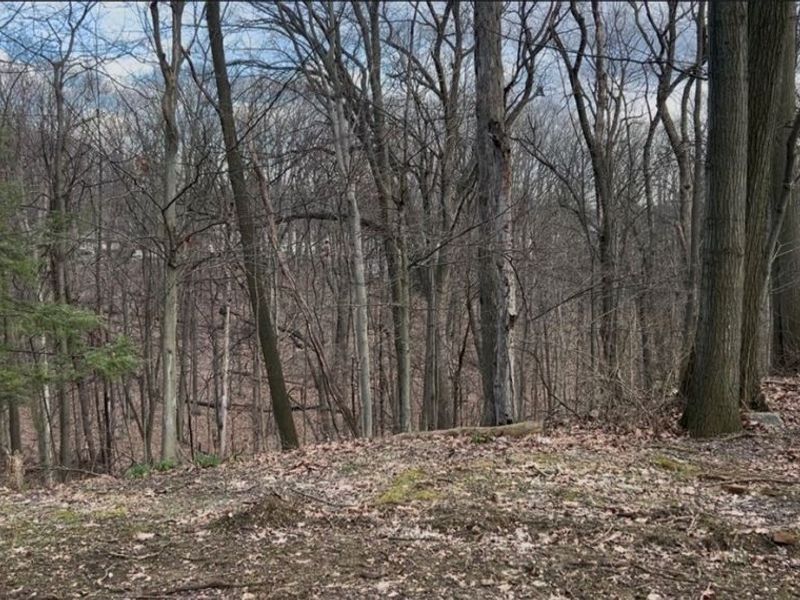 851 Wellmon Street, Bedford, OH 44146 Photo 43