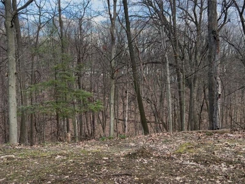 851 Wellmon Street, Bedford, OH 44146 Photo 44