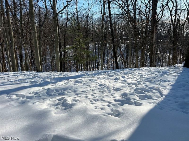 851 Wellmon Street, Bedford, OH 44146 Photo 5