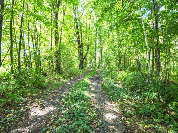 00 310TH AVENUE, Sheldon, WI 54766