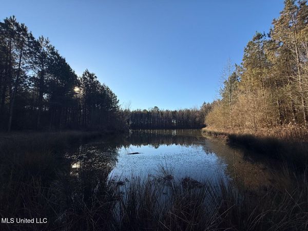 1145 Ludlow Road, Lena, MS 39094