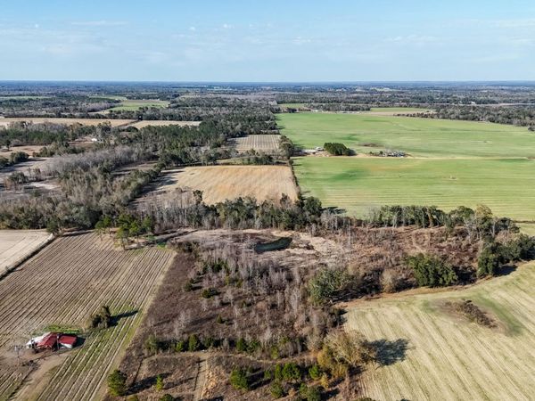 0000 Columbus Road , Grand Ridge, FL 32442