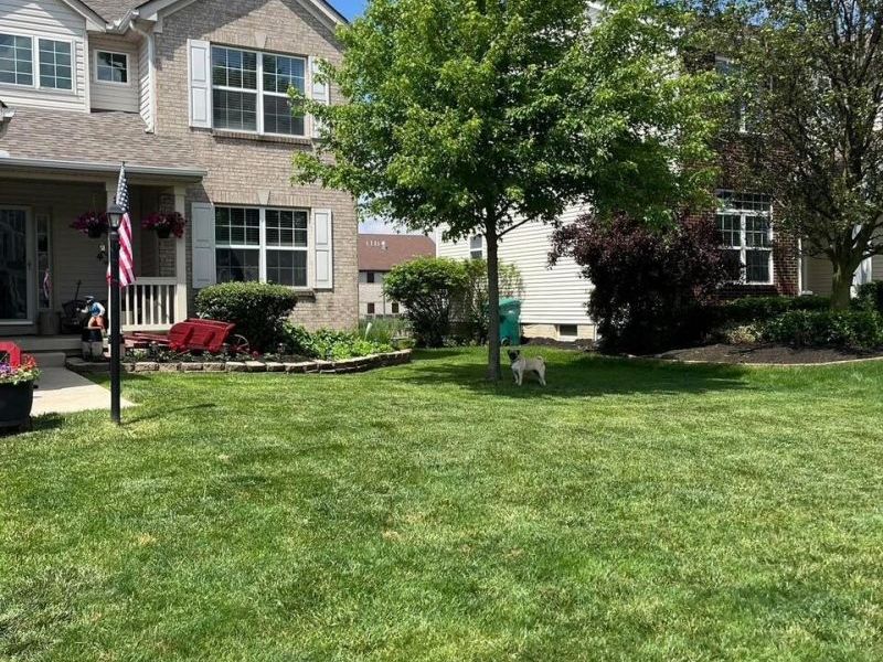 161 Chestnut Estates Drive, Commercial Point, OH 43116 Photo 48