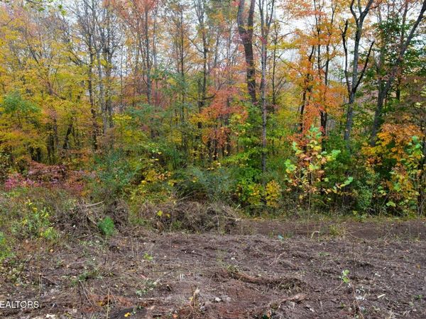 Whitman Hollow Rd, LaFollette, TN 37766