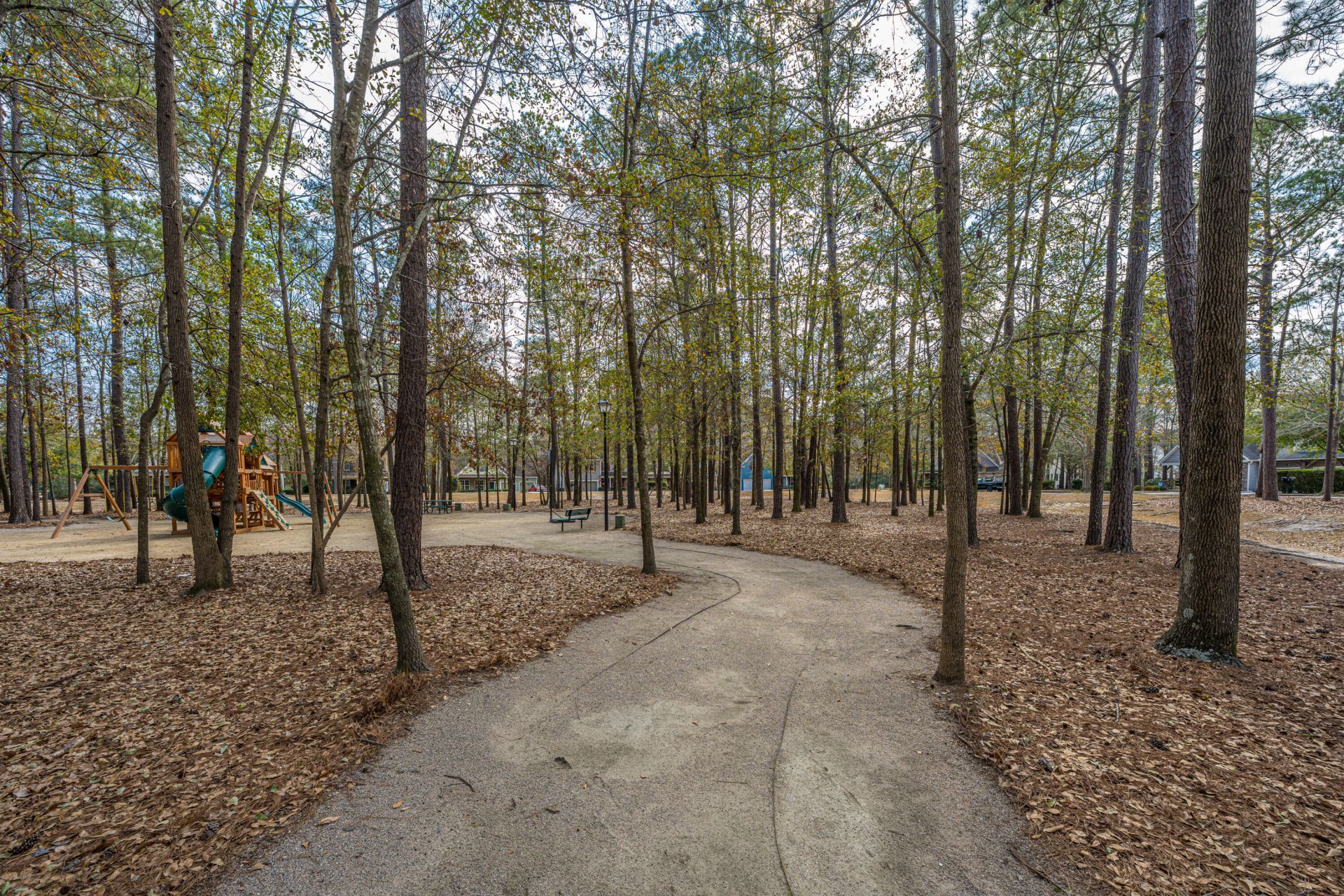 218 Comiskey Park Circle Photo 60