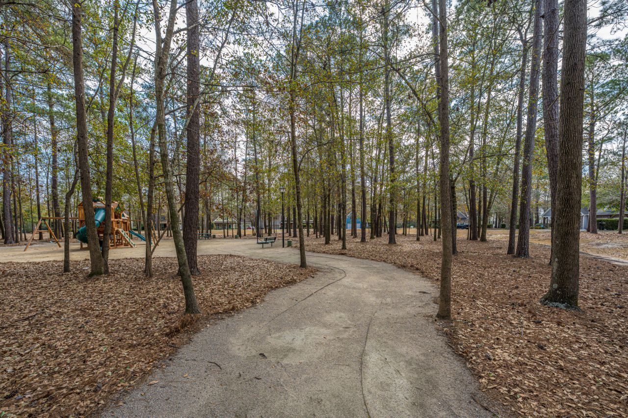 218 Comiskey Park Circle Photo 61