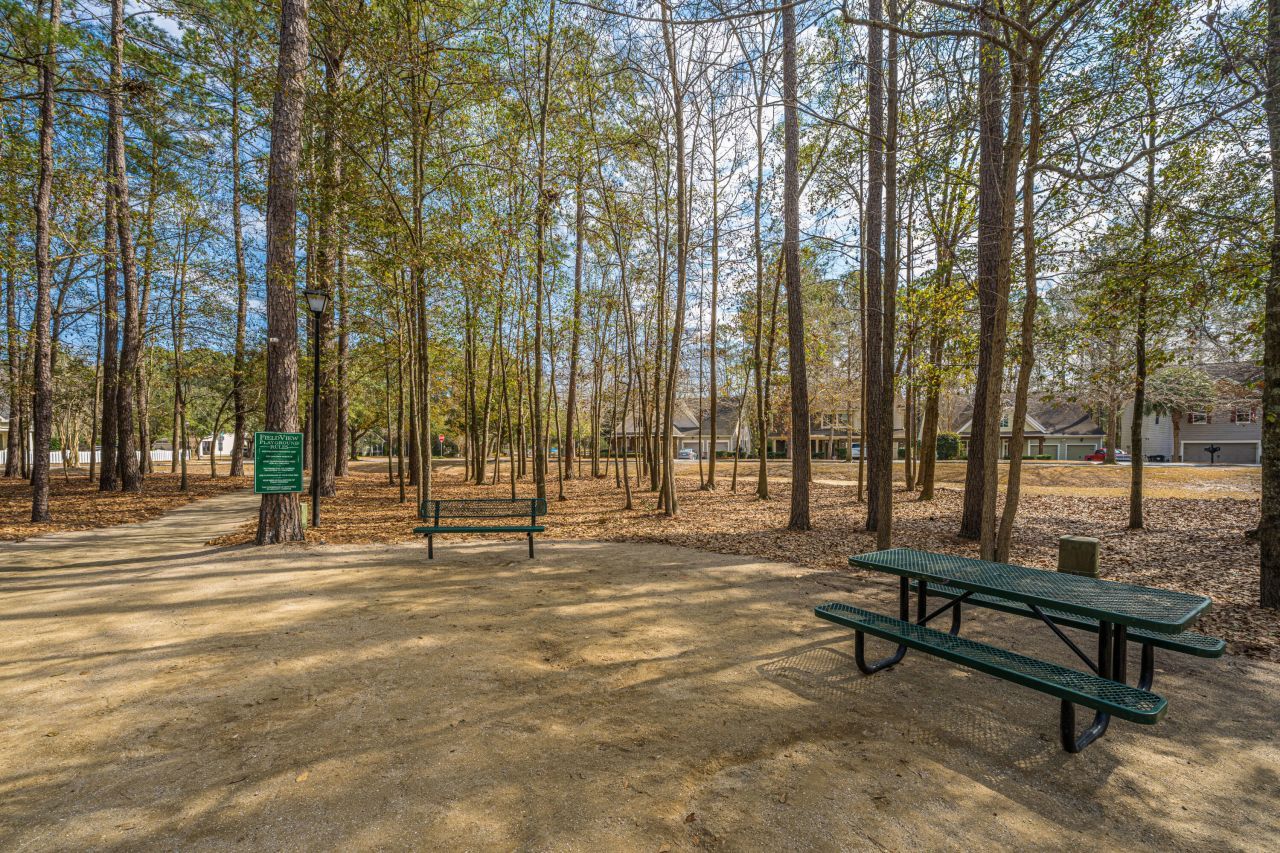 218 Comiskey Park Circle Photo 65