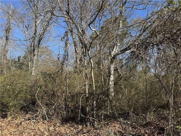 1251 BAYOU Drive, Mandeville, LA 70448