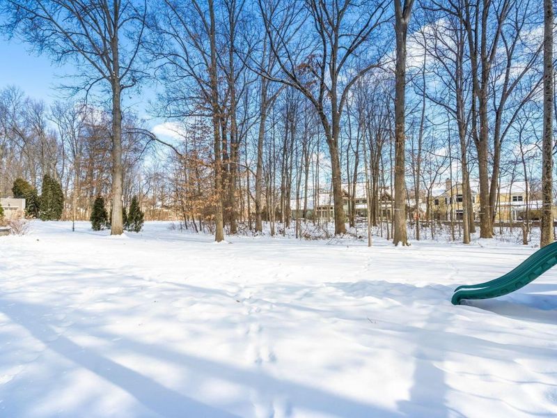 1860 UNBRIDLED Way, Blacklick, OH 43004 Photo 46