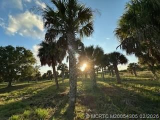 27325 SW Tommy Clements Street, Indiantown, FL 34956 Photo