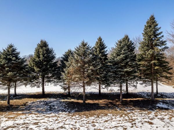 28-- Vinton Avenue, Rockford, IL 61101