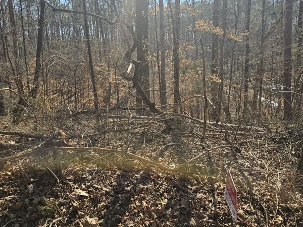 1204 Lake Breeze Drive, Myrtle, MS 38650