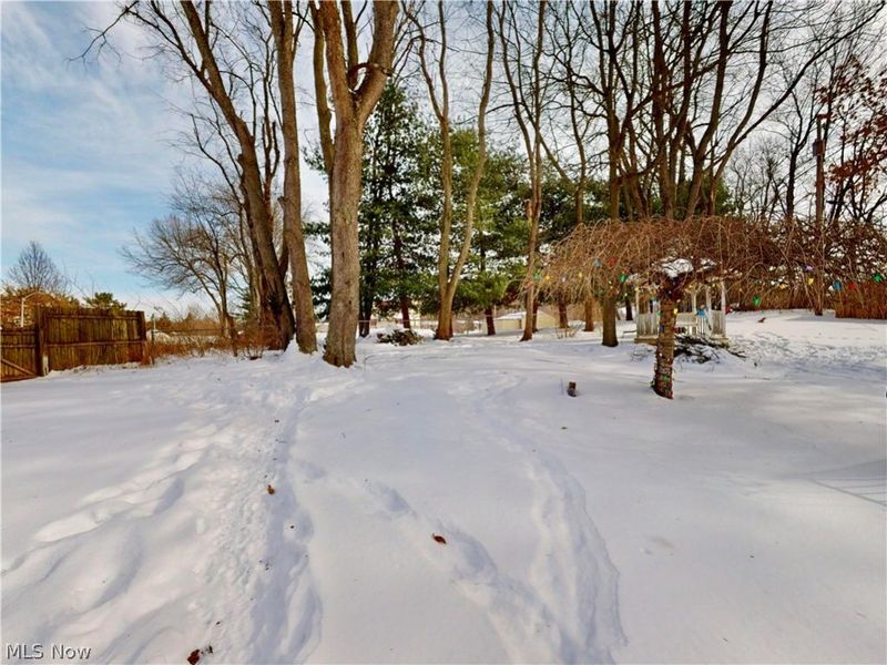 1012 Netherwood Avenue NW, Canton, OH 44708 Photo 42