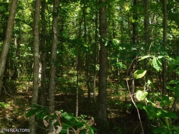 129 Rushing Springs Rd, Monterey, TN 38574
