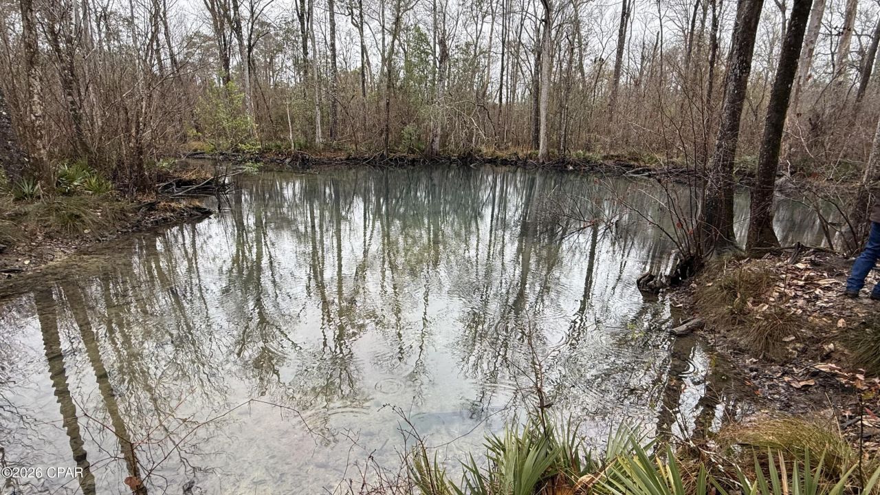 0 Otter Creek Bridge Road , Ebro, FL 32437 Main Photo