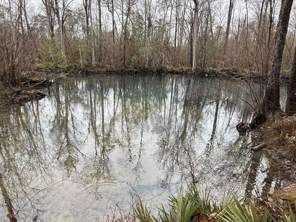 0 Otter Creek Bridge Road , Ebro, FL 32437