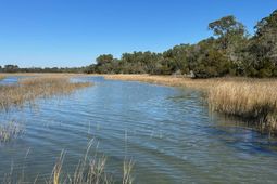 0 Allandale Plantation Road photo 4