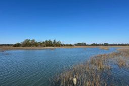 0 Allandale Plantation Road photo 4