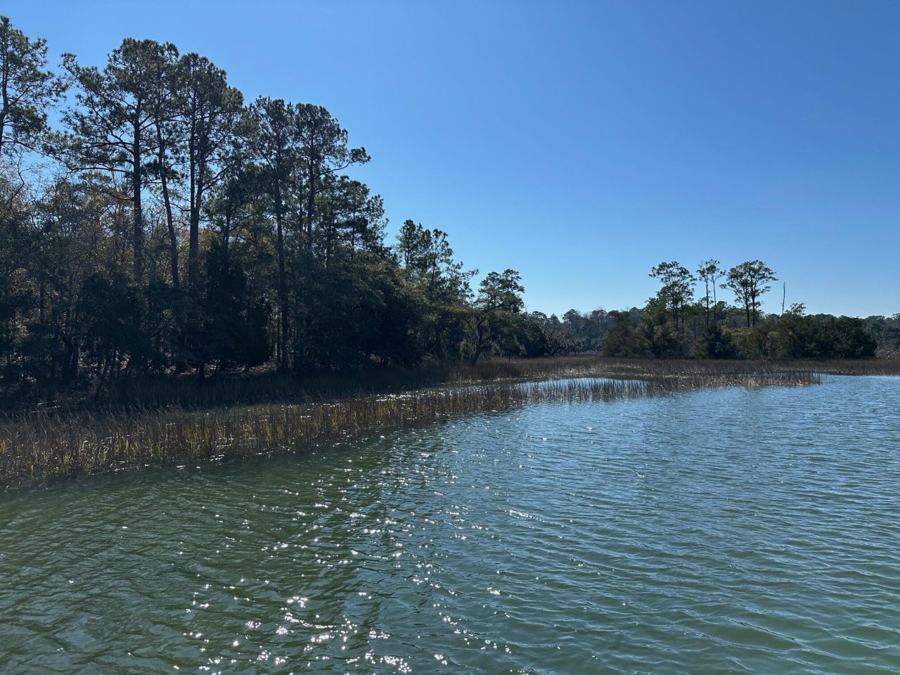 0 Allandale Plantation Road Photo 6