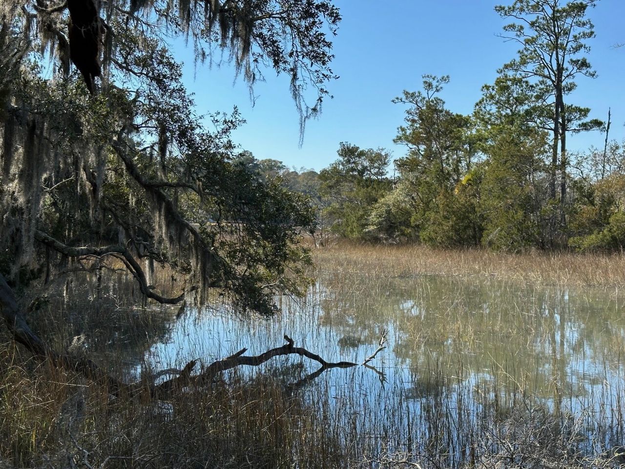 0 Allandale Plantation Road Photo 7