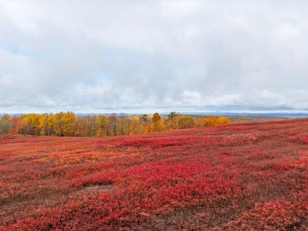 1490 Parmenter Road, Palermo, ME 04354