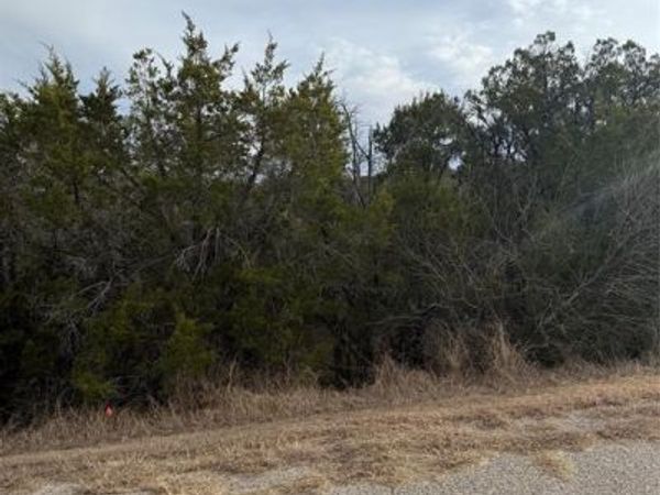 3111 Canadian River Trail, Granbury, TX 76048