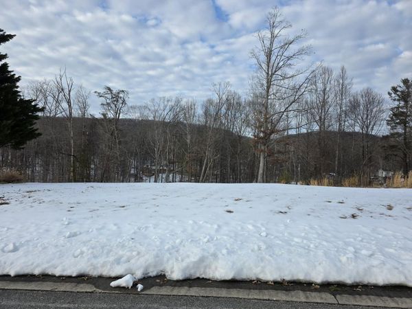 000 LEANOR ST , Rocky Mount, VA 24151