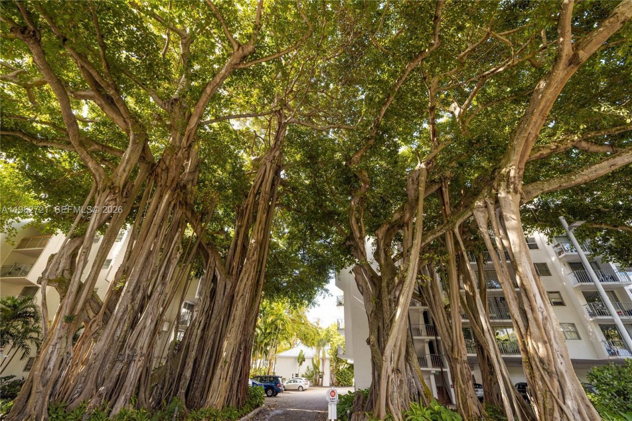 680 NE 64th St, Unit APH3, Miami, FL 33138 Photo