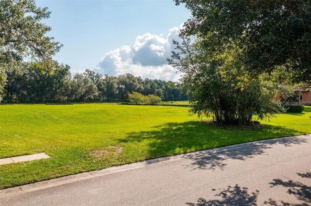 2811 Coastal Range Way, Lutz, FL 33559 Photo