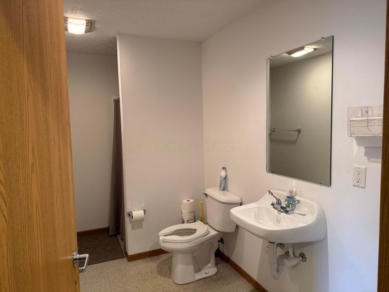 58 Village Pointe Drive, Powell, OH 43065 Photo 9