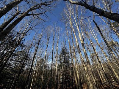 0 Mann Road, Winnsboro, SC 29180